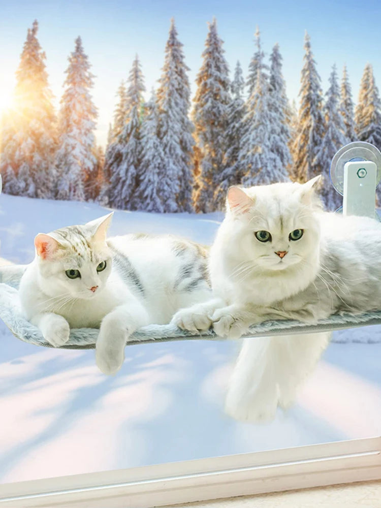 S23129d8f04134d4e8cbb4a2eb2b68fcbt