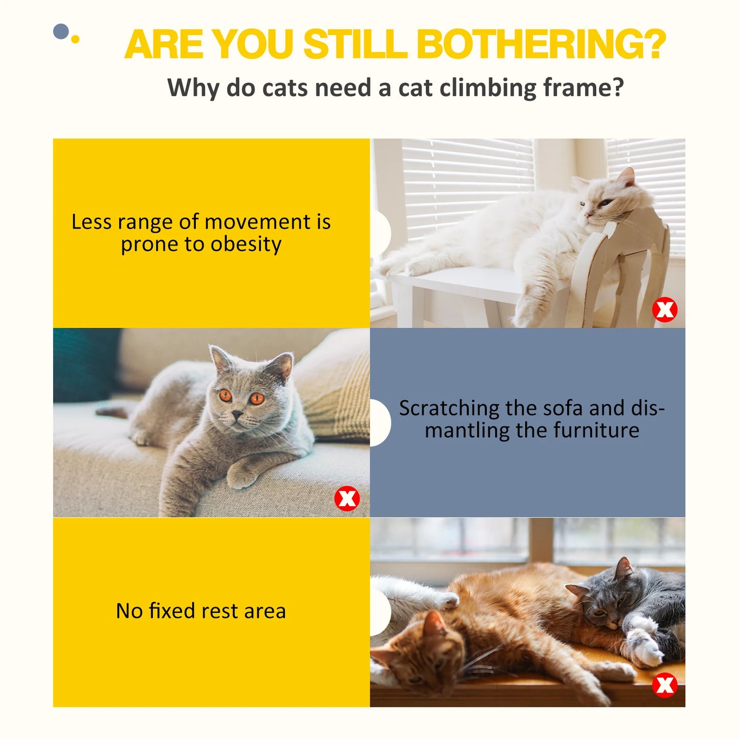 Sf6ee853cb19a4629bbe2d6e788635aade