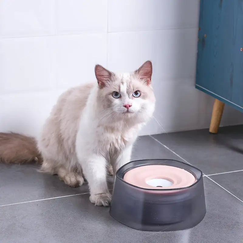 Splash-proof Pet Drinking Bowl for Dogs and Cats